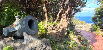 ハイキング特集