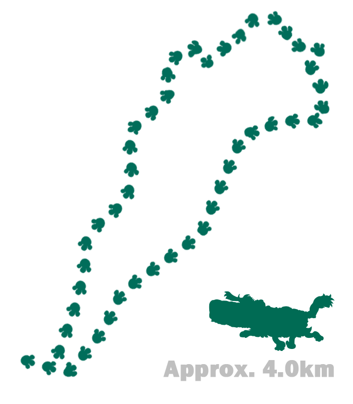 灯台と吊り橋コース