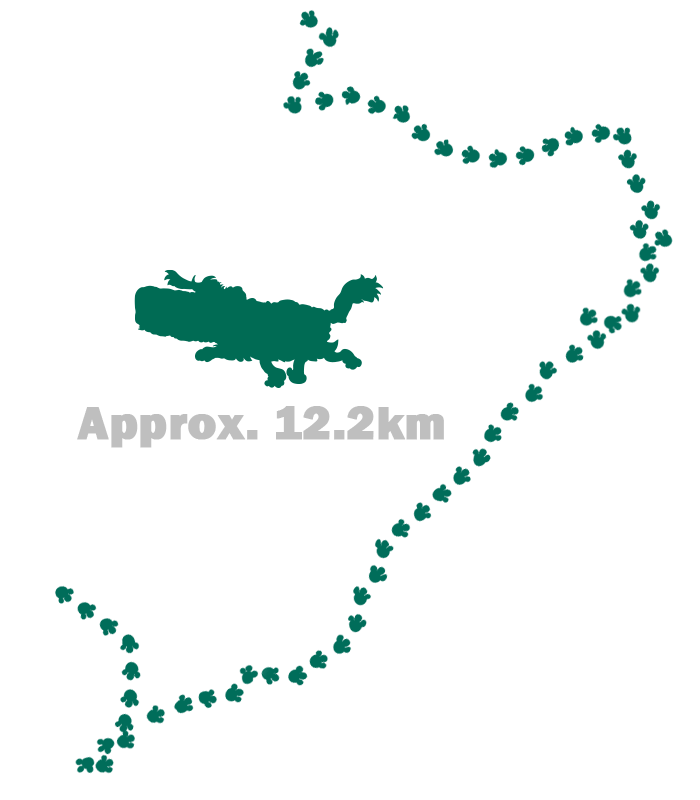 自然研究路コース