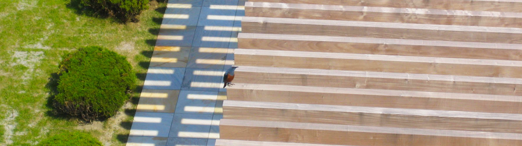 FAQ(よくあるご質問)