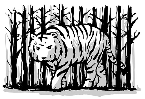 色の見え方のイメージ