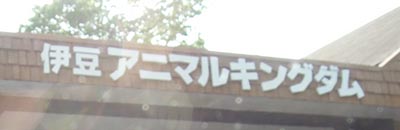 伊豆アニマルキングダム