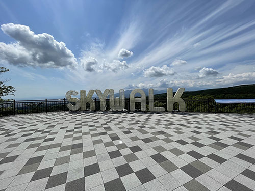 SKYWARK