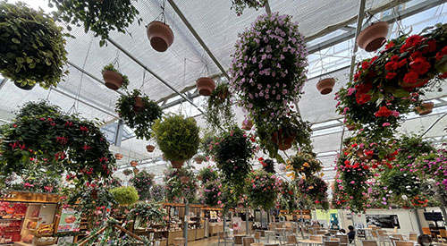 花のシャンデリア