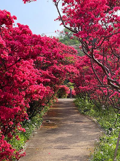 童話の世界の入り口のよう。