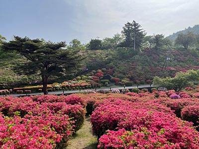 斜面に広がります。