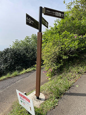 道は舗装されていて歩きやすいです。