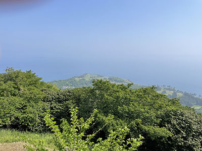 山頂からの眺望