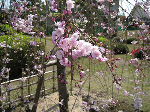 美しい（城ケ崎荘オープン頃）